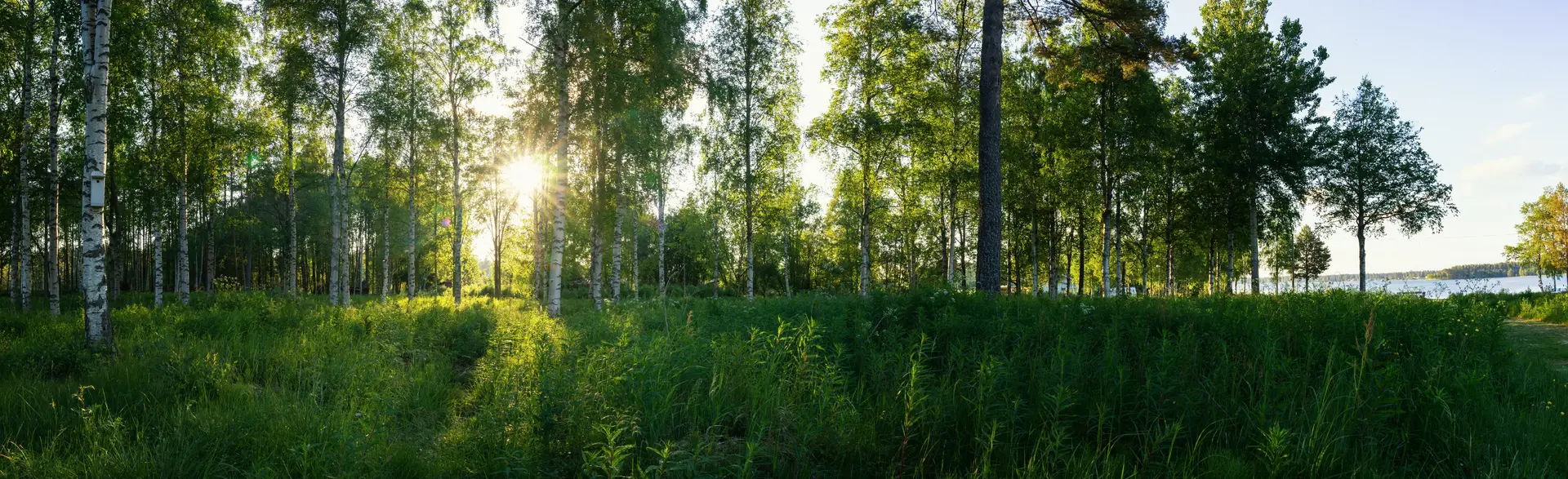 Byta FTX-aggregat Flen